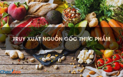 TRƯỜNG MẦM NON QUANG TRUNG TỔ CHỨC TRUY XUẤT NGUỒN GỐC THỰC PHẨM PHỤC VỤ BẾP ĂN BÁN TRÚ